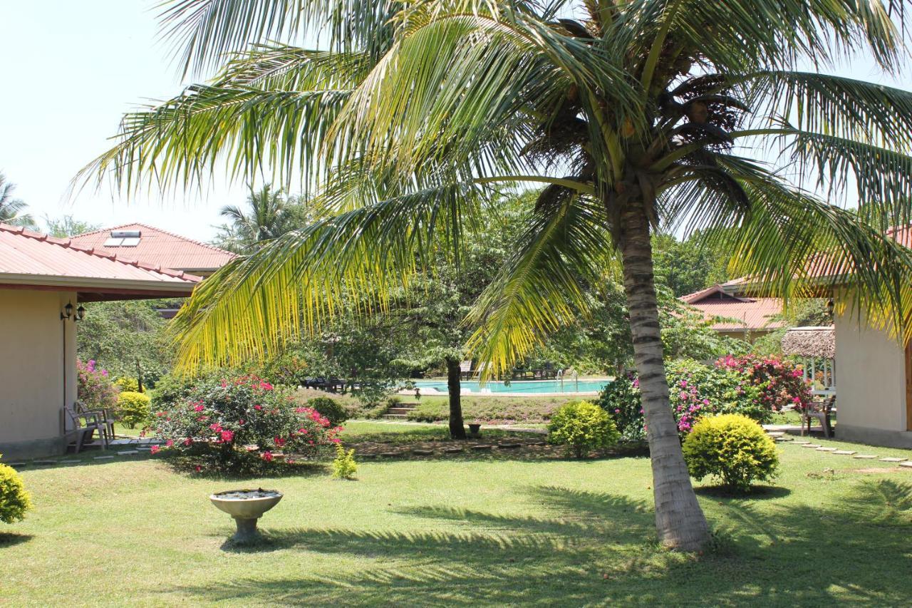 Hibiscus Garden Hotel Tissamaharama Dış mekan fotoğraf
