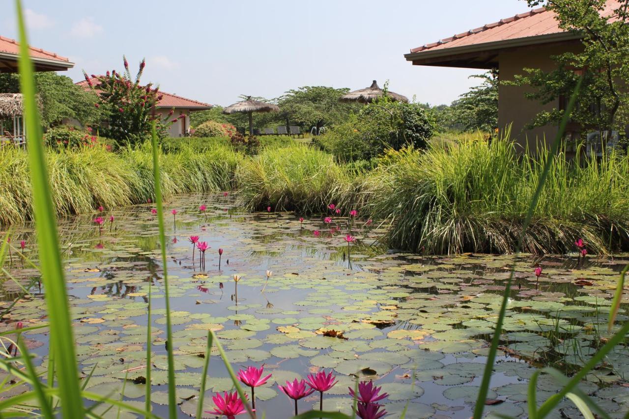 Hibiscus Garden Hotel Tissamaharama Dış mekan fotoğraf
